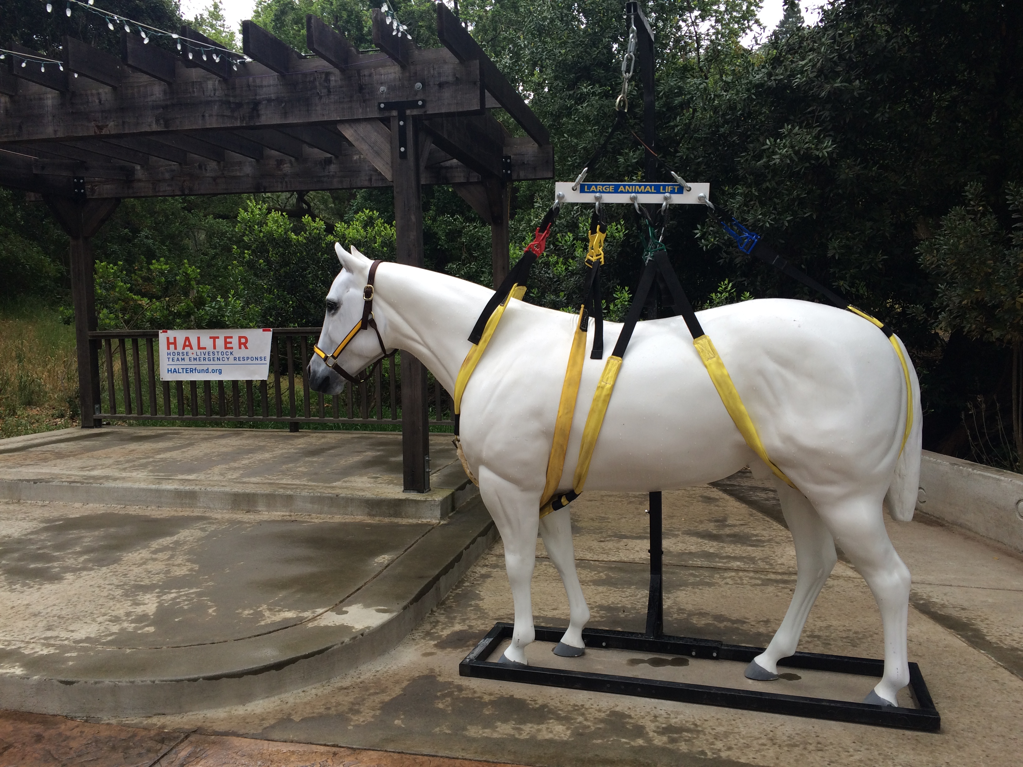 HALTER Project Equipment and Resources